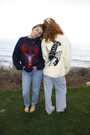 Classic Chunky Lobster In Anchor Tee Sweater In Navy