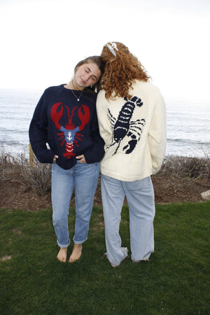 Classic Chunky Lobster In Anchor Tee Sweater In Navy - Abigail Fox Designs Nantucket