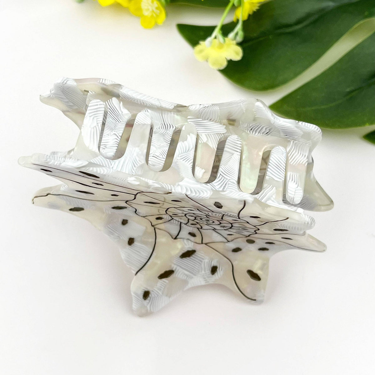 Seashell and Conch Hair Claw Clip, Acetate Hair Clip - Abigail Fox Designs Nantucket