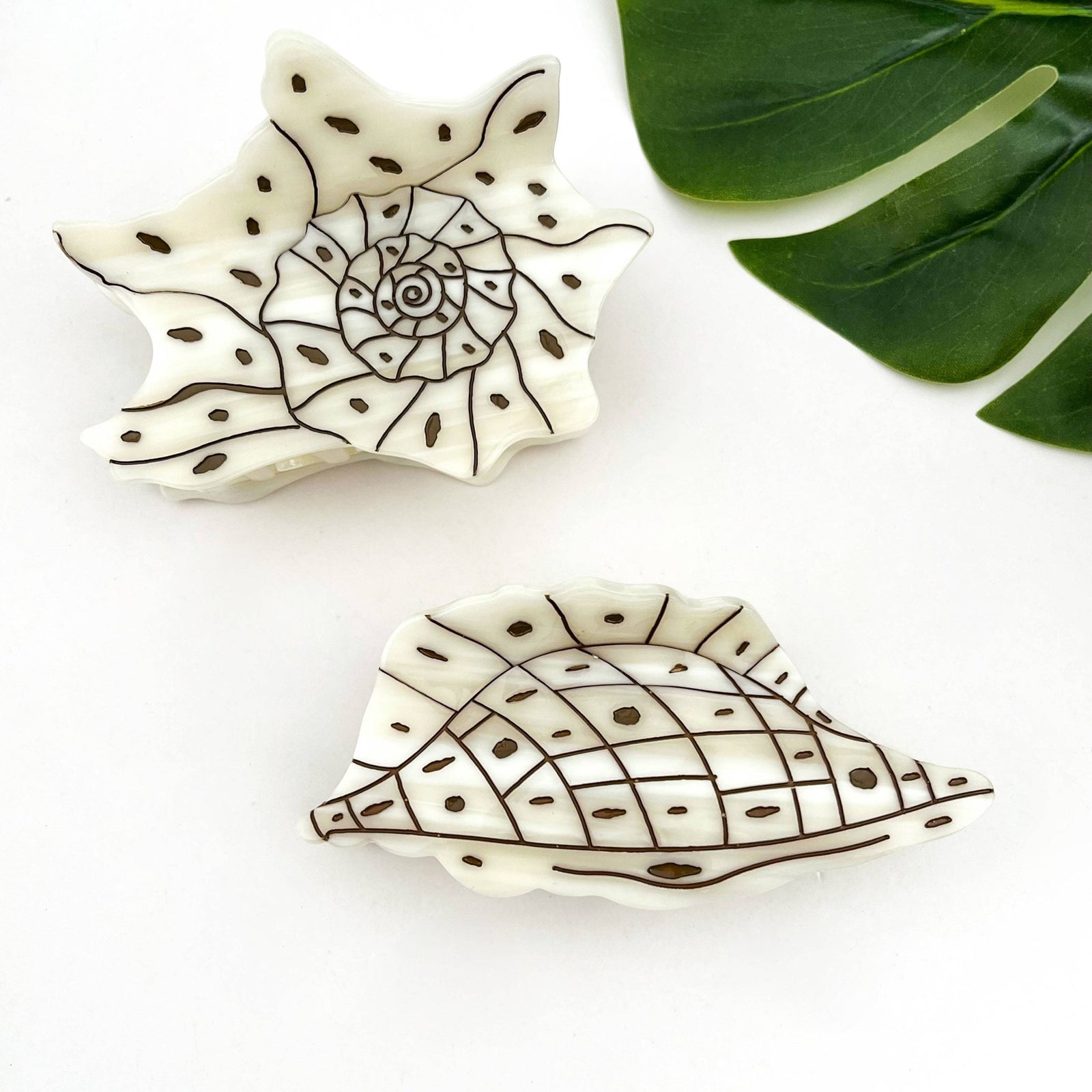 Seashell and Conch Hair Claw Clip, Acetate Hair Clip - Abigail Fox Designs Nantucket