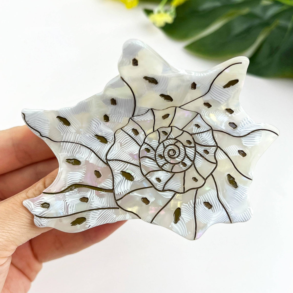 Seashell and Conch Hair Claw Clip, Acetate Hair Clip - Abigail Fox Designs Nantucket