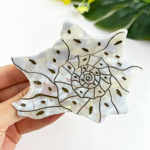 Seashell and Conch Hair Claw Clip, Acetate Hair Clip - Abigail Fox Designs Nantucket