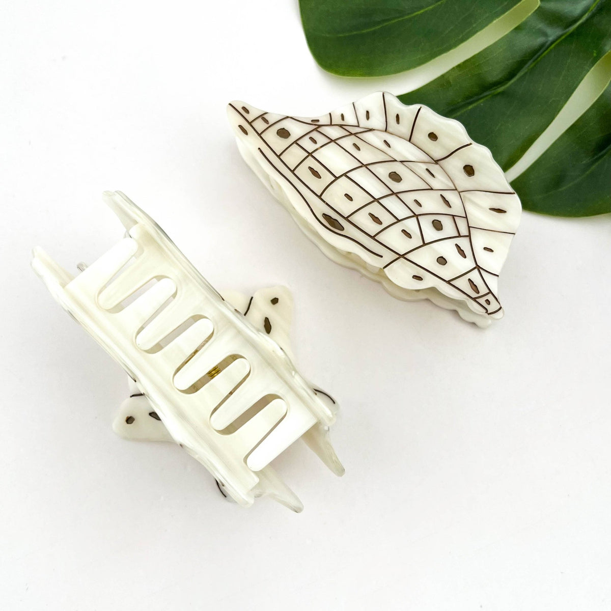 Seashell and Conch Hair Claw Clip, Acetate Hair Clip - Abigail Fox Designs Nantucket