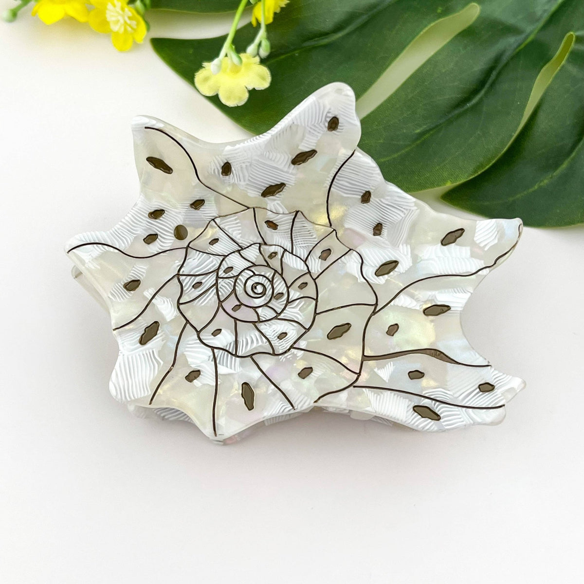 Seashell and Conch Hair Claw Clip, Acetate Hair Clip - Abigail Fox Designs Nantucket