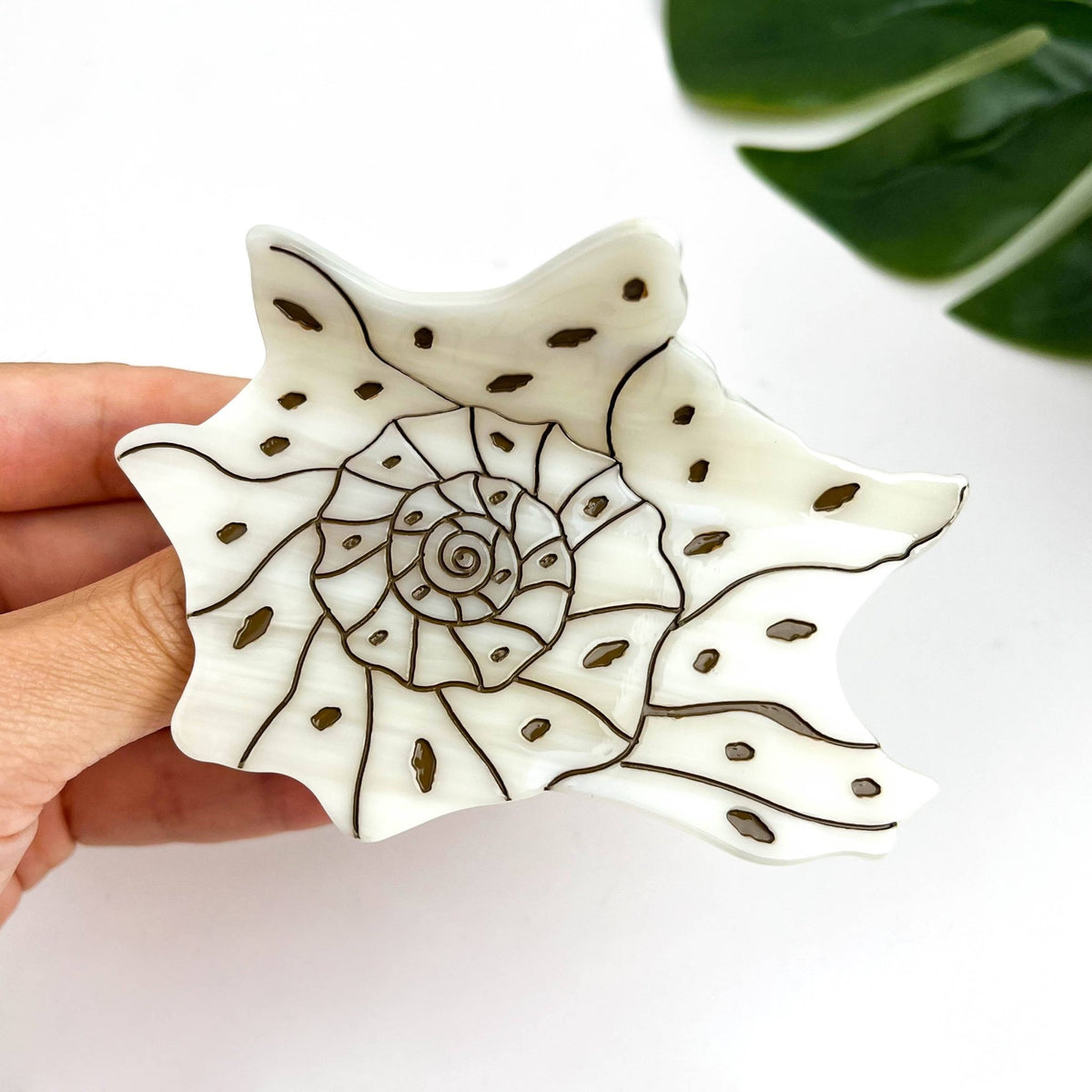 Seashell and Conch Hair Claw Clip, Acetate Hair Clip - Abigail Fox Designs Nantucket