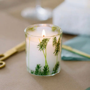 Frasier Fir Pine Needle Candle 6.5 OZ - Abigail Fox Designs