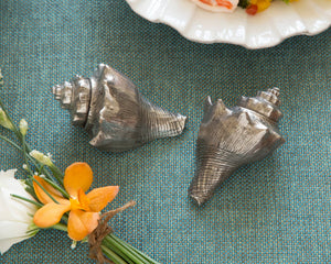 Pewter Conch Shells Salt & Pepper Set - Abigail Fox Designs