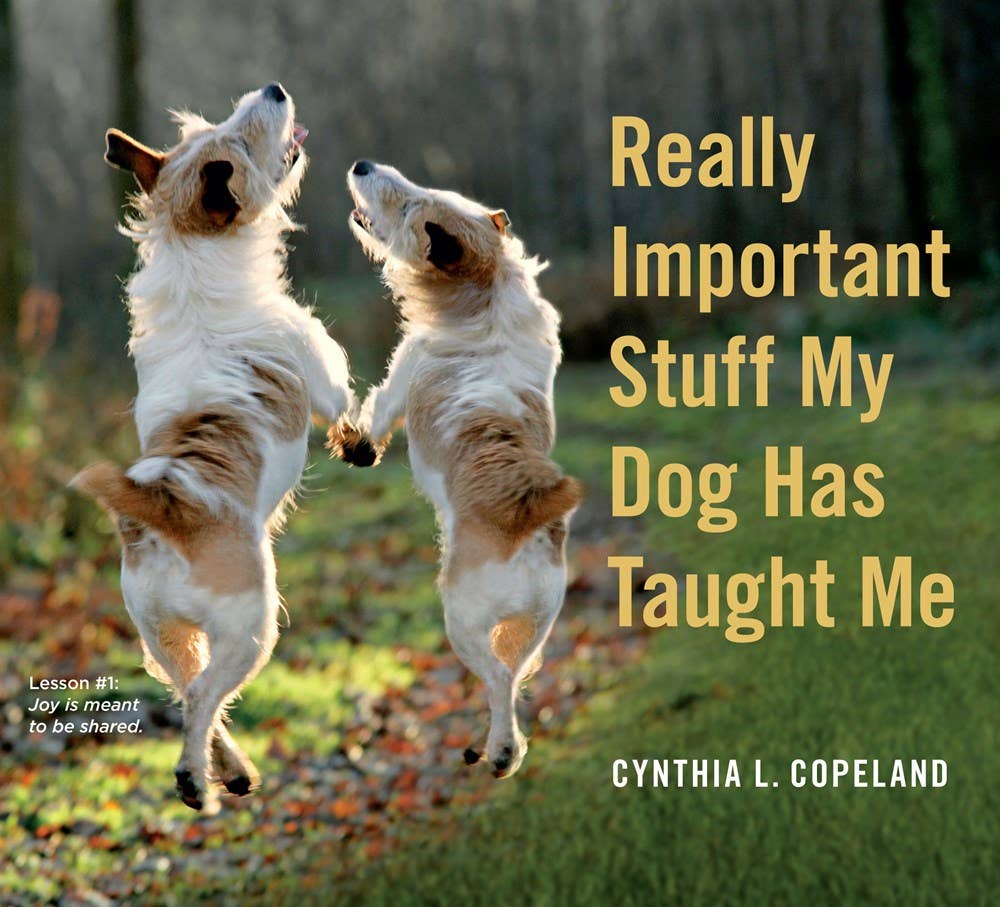 Really Important Stuff my Dog Has Taught Me - Abigail Fox Designs