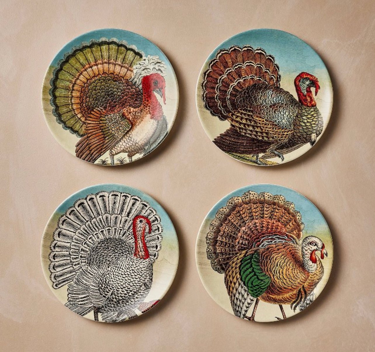 Set of 4 Thanksgiving Turkey Dishes, RENTAL - Abigail Fox Designs