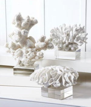 Set of Three White Coral on Base