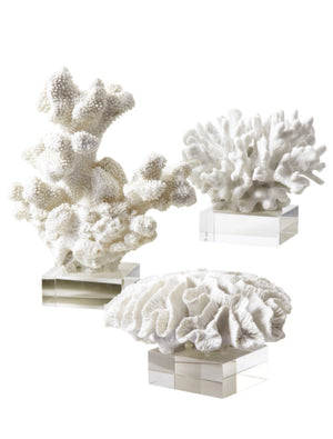 Set of Three White Coral on Base