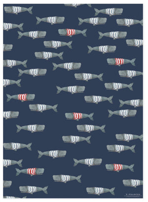 Swimming Frankies Wrapping Paper - Abigail Fox Designs